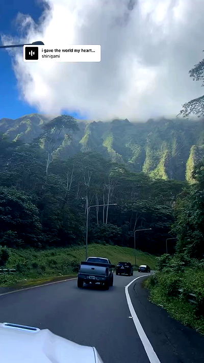 zommmbri zommmbri archive video