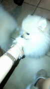 jailyneojeda Altpins Profile Picture