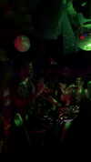 shayoded Altpins Profile Picture