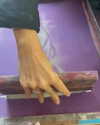 kyliejenner Altpins Profile Picture