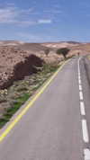 shaipeleg Altpins Profile Picture