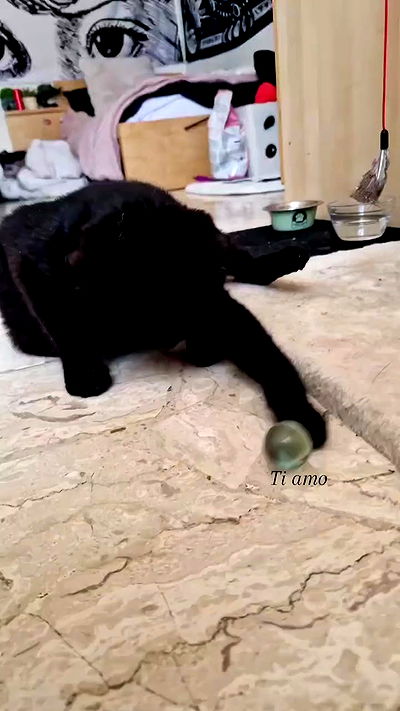 aekamee aekamee archive video