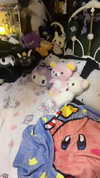 ashley.scarr Altpins Profile Picture
