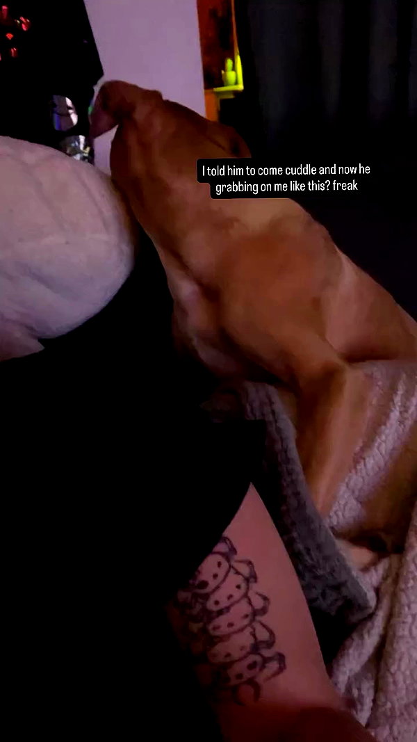 scruffydoomergirl archive video preview