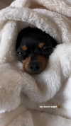 jenny.kaly Altpins Profile Picture