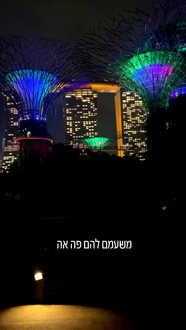 sapir_shemer archive video preview