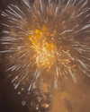 mayamarinos Altpins Profile Picture