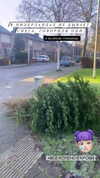 sonya_fisher_ Altpins Profile Picture