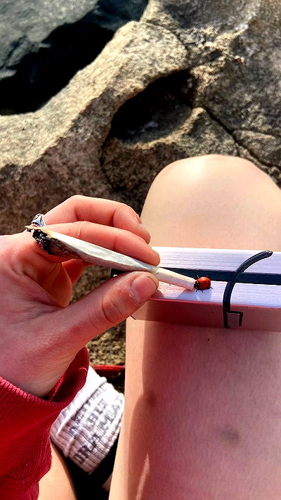 feelbetterinmysweater feelbetterinmysweater archive video