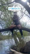 stamps_gaming11 Altpins Profile Picture