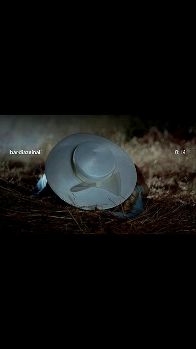 sabrinacarpenter sabrinacarpenter archive video