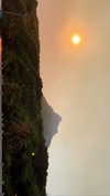 noa_mendel_ Altpins Profile Picture