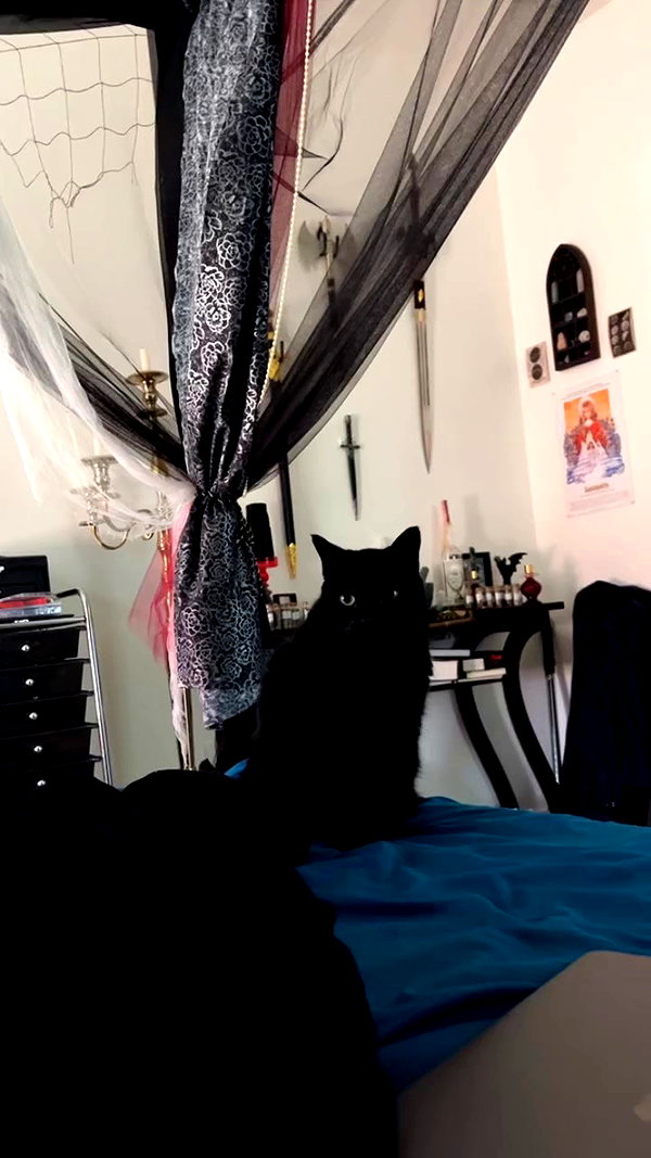 blairvira archive video preview