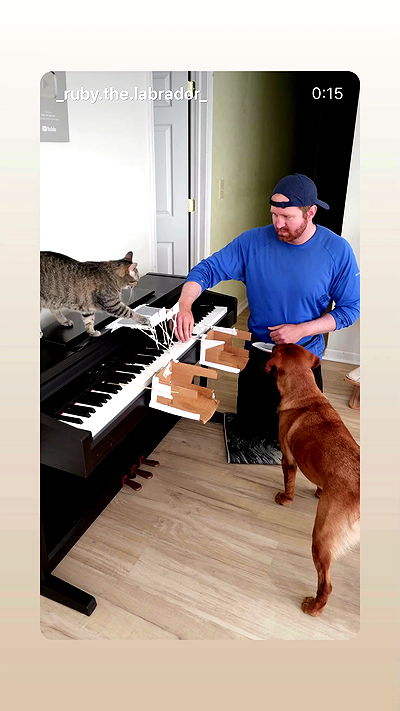 jaroslava_klavir jaroslava_klavir archive video