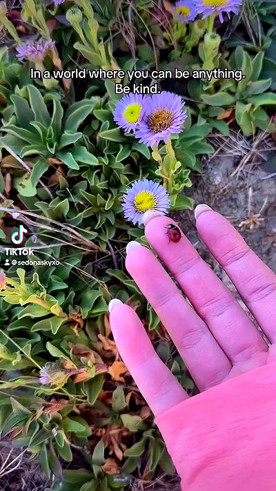 sedonaskyxo sedonaskyxo archive video