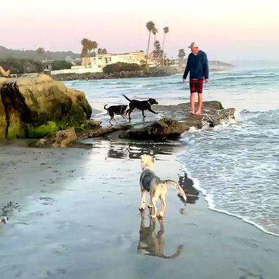 dracuina dracuina archive video