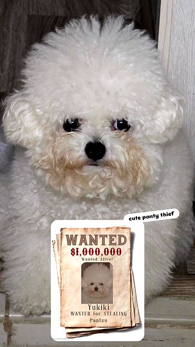 iamdorasnow iamdorasnow archive video