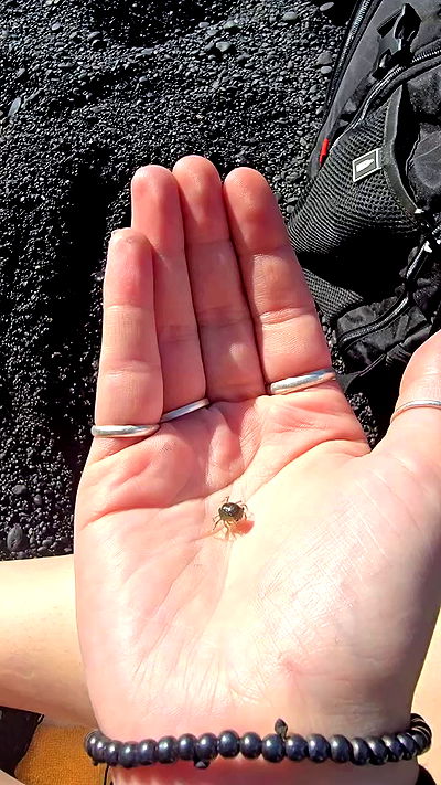 lilith.hecate lilith.hecate archive video