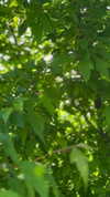 sarah.anne.dipity Altpins Profile Picture