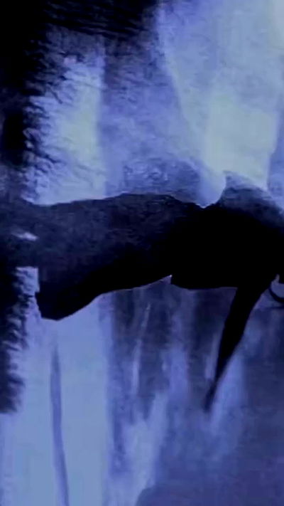 feelbetterinmysweater feelbetterinmysweater archive video