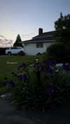 jjas.ding Altpins Profile Picture