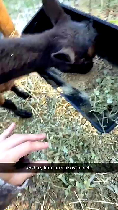 sophieraiin sophieraiin archive video