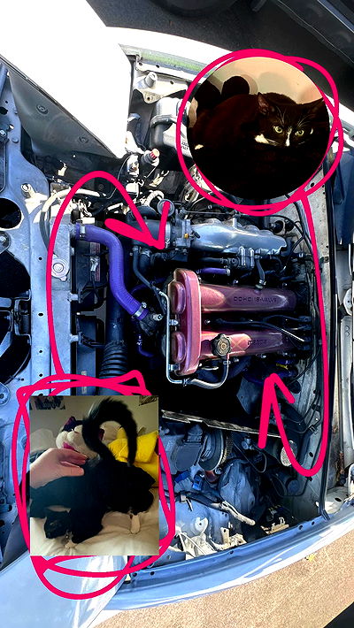 6nattynat9 6nattynat9 archive video