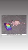 lola.luvgood Altpins Profile Picture
