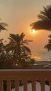 noa_mendel_ Altpins Profile Picture