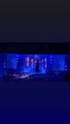 celestediconzoo Altpins Profile Picture