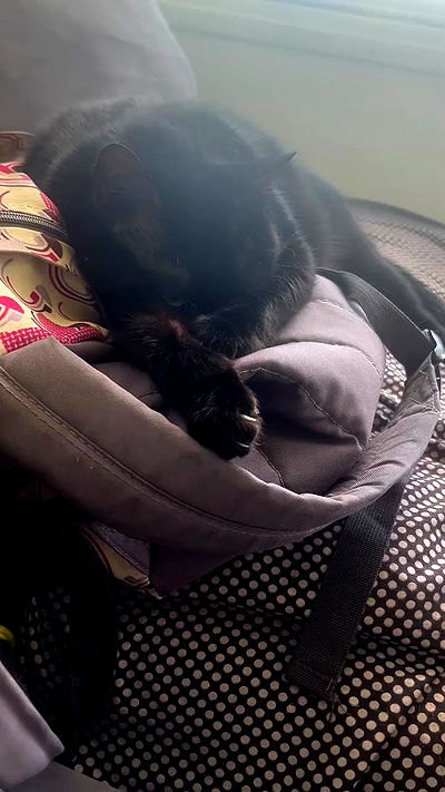 hellokittyangel666 hellokittyangel666 archive video