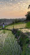 noa_mendel_ Altpins Profile Picture