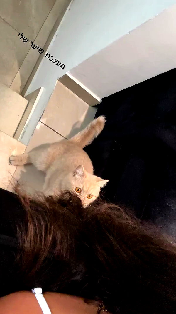 talya__edri archive video preview