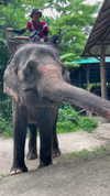 amit.yaron Altpins Profile Picture