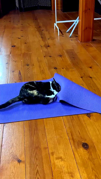 itsilanosh itsilanosh archive video