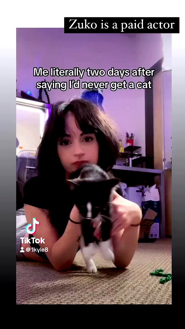 1kyle8_ archive video preview
