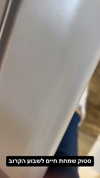 ben_zemach Altpins Profile Picture