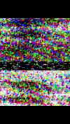 selenagomez Altpins Profile Picture