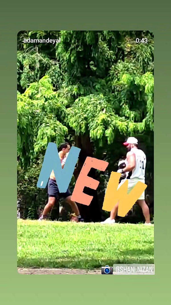 adamandeyal archive video preview