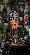 mollieruck Altpins Profile Picture