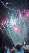 pauuuferreira_ Altpins Profile Picture