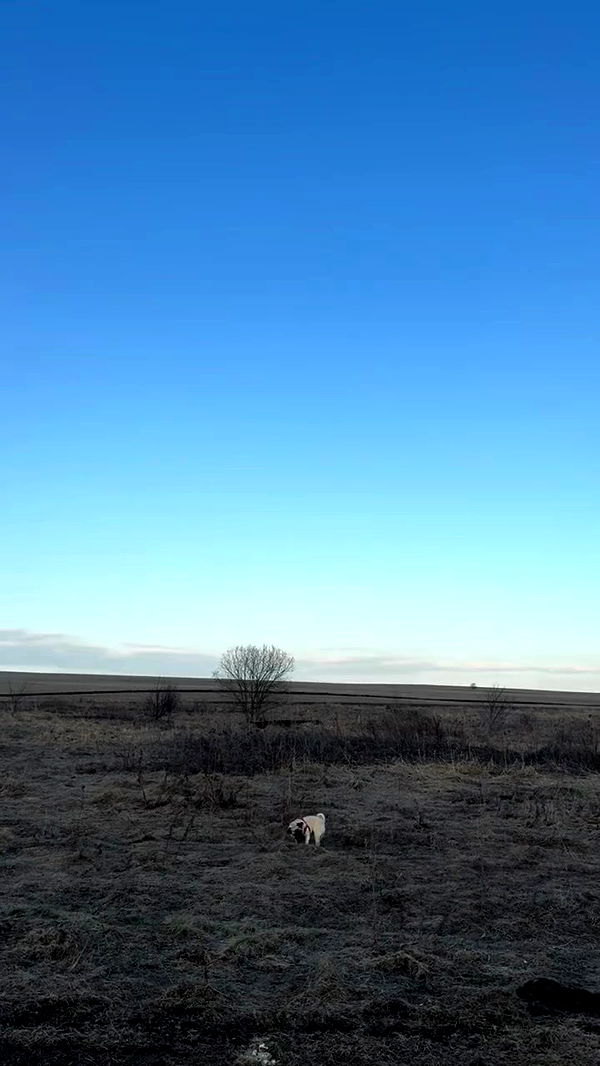 nyityam archive video preview