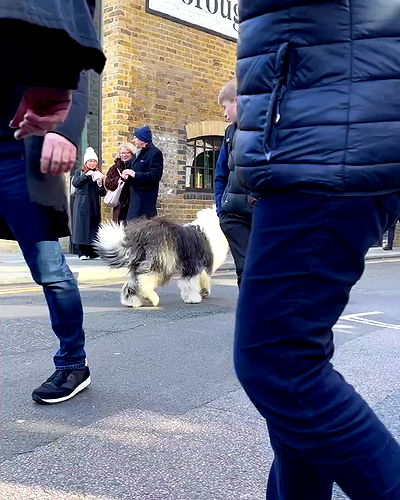 kesemgreenyer kesemgreenyer archive video