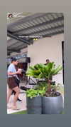 _jepitot Altpins Profile Picture