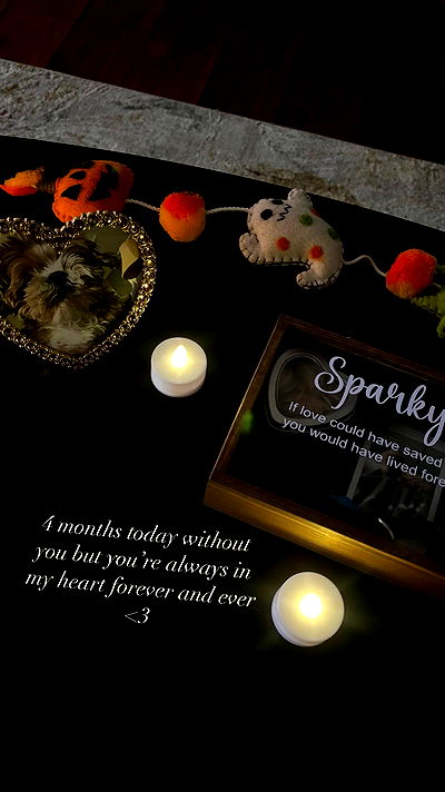 alexalizzz alexalizzz archive video