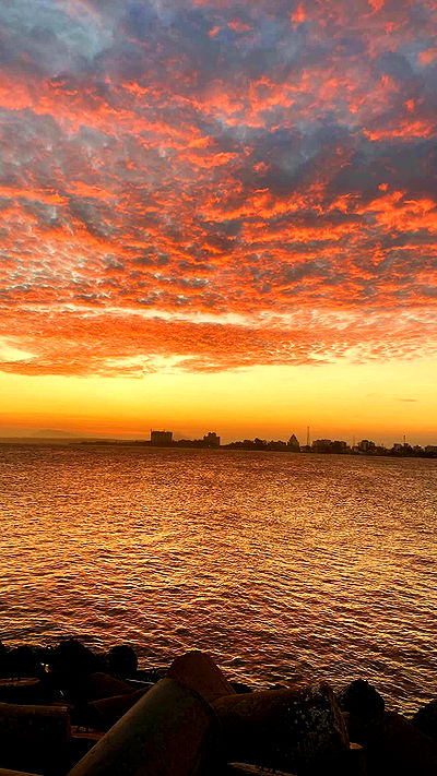 linnnh__h linnnh__h archive video