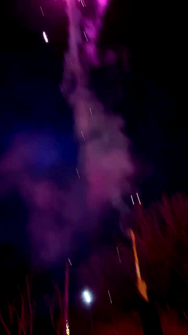 alisa.paigin archive video preview