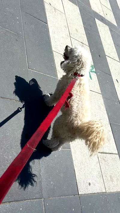 feelbetterinmysweater feelbetterinmysweater archive video