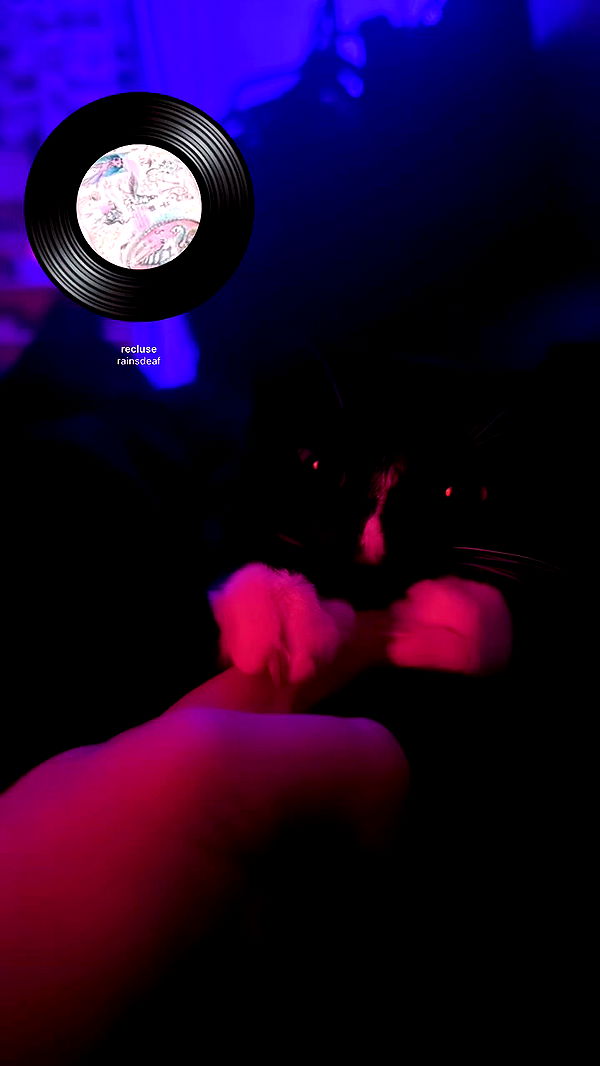 6nattynat9 archive video preview