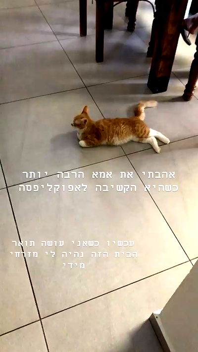 kesemgreenyer kesemgreenyer archive video